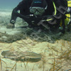 twinset and rebreather diving in cyprus with scuba tech diving centre